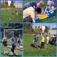 foto - web